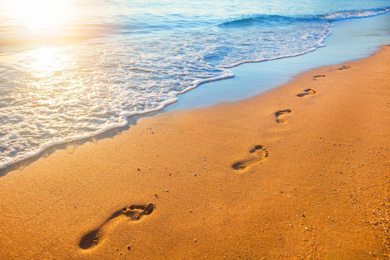 Miramar Beach Home Walk To Beach Trails Restaurants Family Activities Half Moon Bay Dış mekan fotoğraf