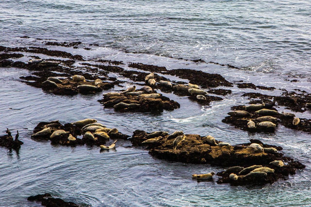 Miramar Beach Home Walk To Beach Trails Restaurants Family Activities Half Moon Bay Dış mekan fotoğraf